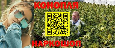 мяу мяу мука Шебекино