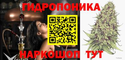 дмт Абакан