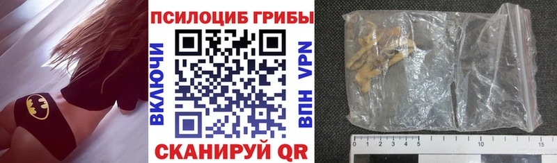 Галлюциногенные грибы Psilocybe  Апатиты 