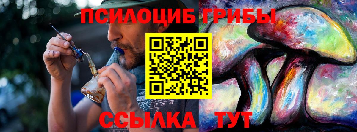 Псилоцибиновые грибы MAGIC MUSHROOMS Апатиты