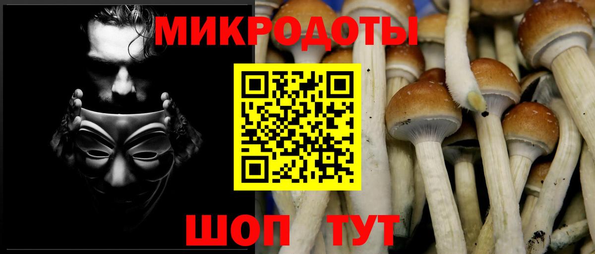 Галлюциногенные грибы MAGIC MUSHROOMS  Псилоцибиновые грибы Cubensis  Апатиты  купить наркоту  Вход с VPN 